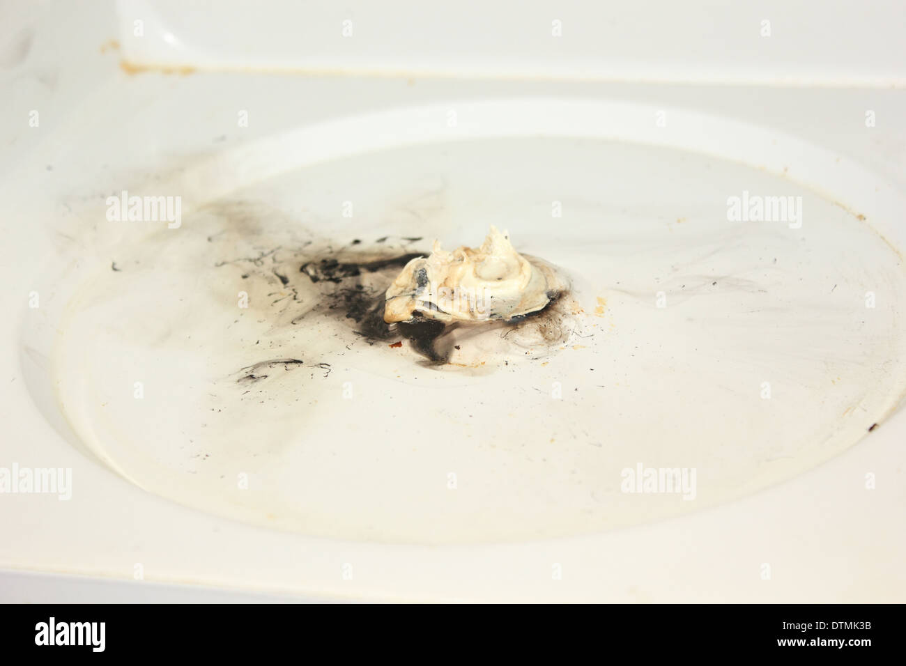 A microwave that caught on fire Stock Photo Alamy