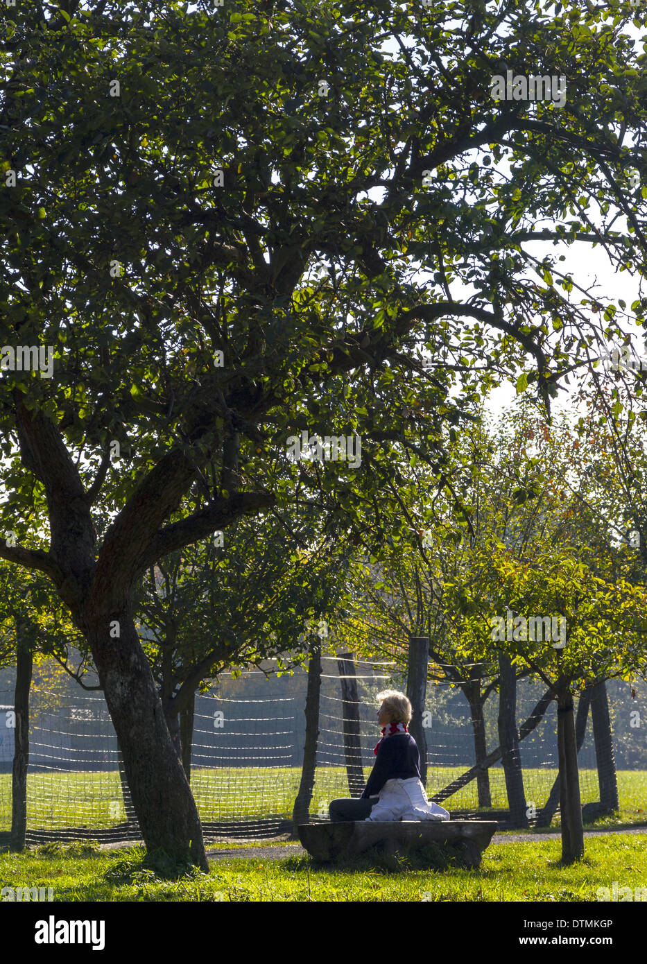 Lady relaxes to earlier hour in the wild, Stock Photo