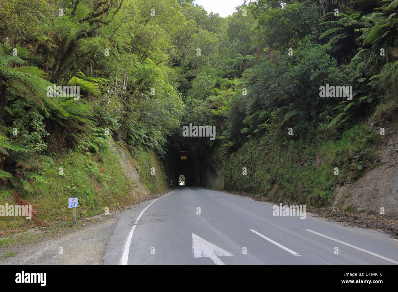 Moki Tunnel part of the Forgotten World Highway (SH 43), Whanganui National Park, North Island, New Zealand Stock Photo