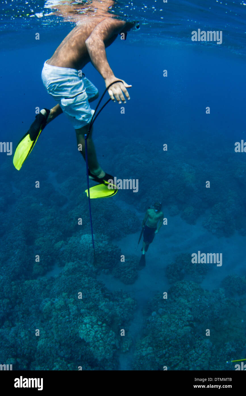 Spearfishing hawaii hi-res stock photography and images - Alamy