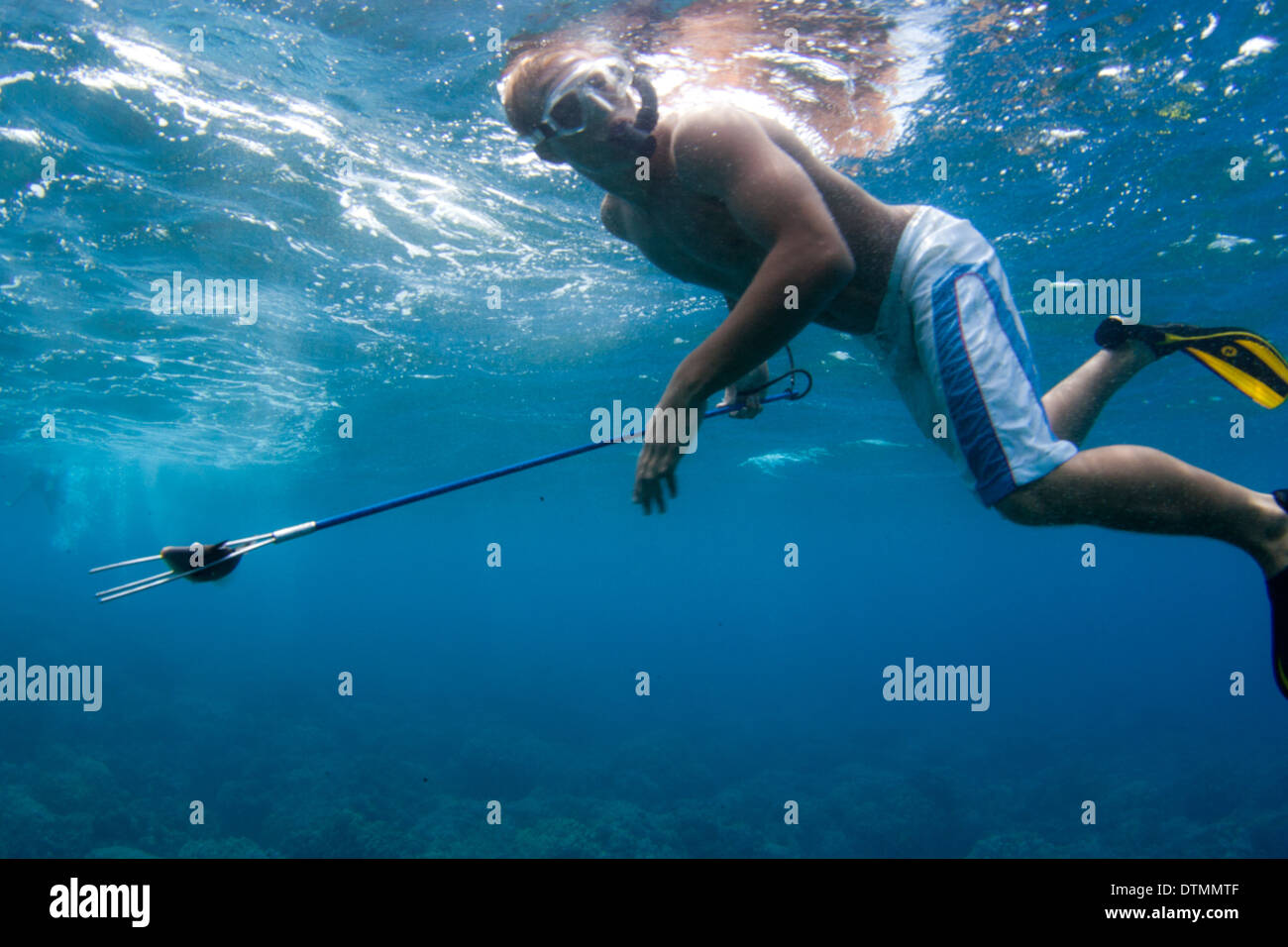 men underwater spearfishing in hawaii by coral reef Stock Photo - Alamy