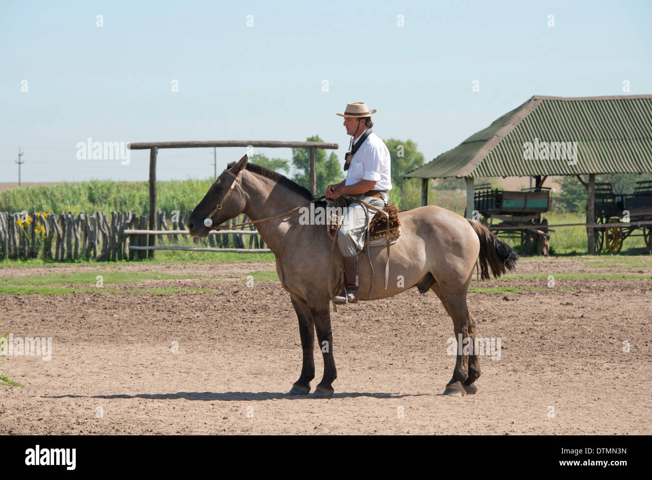 Argentina, Buenos Aires, Estancia Santa Susana. Traditional Argentine Gaucho on ranch horse. Stock Photo