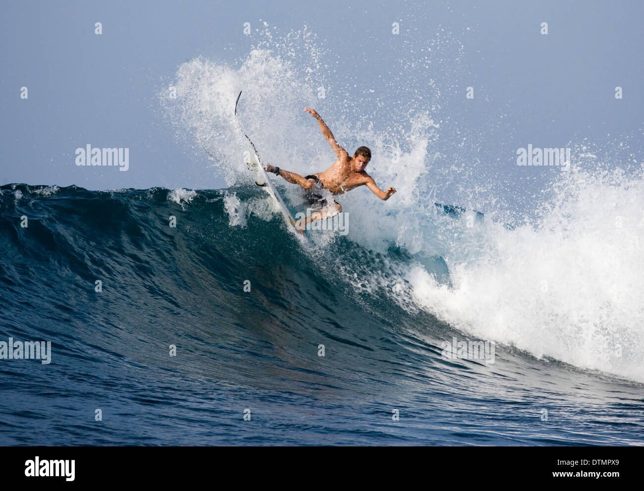surfer on a surfboard riding a wave in the ocean sea water wave 