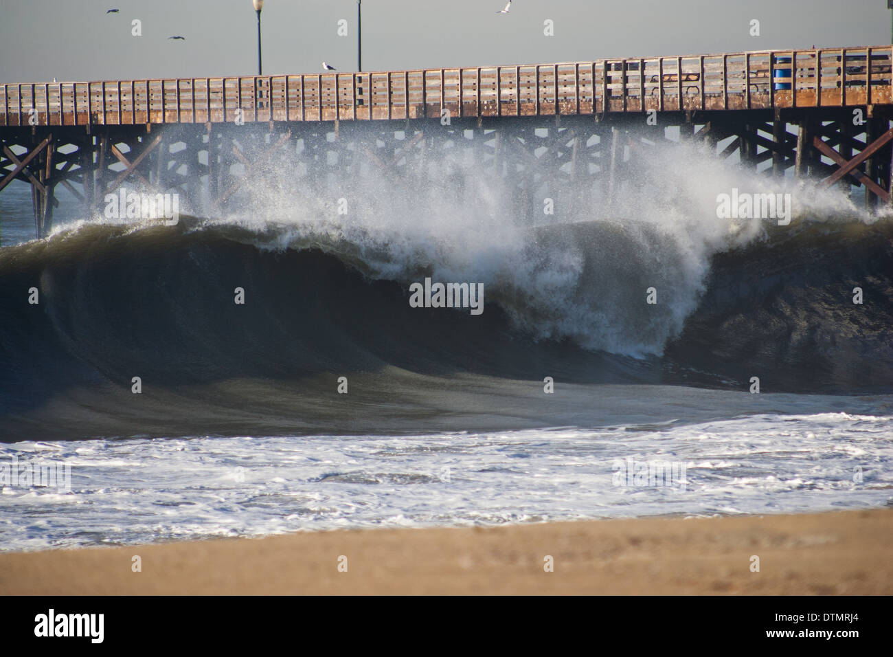 pier of seal beach california on a huge massive large wave wind day