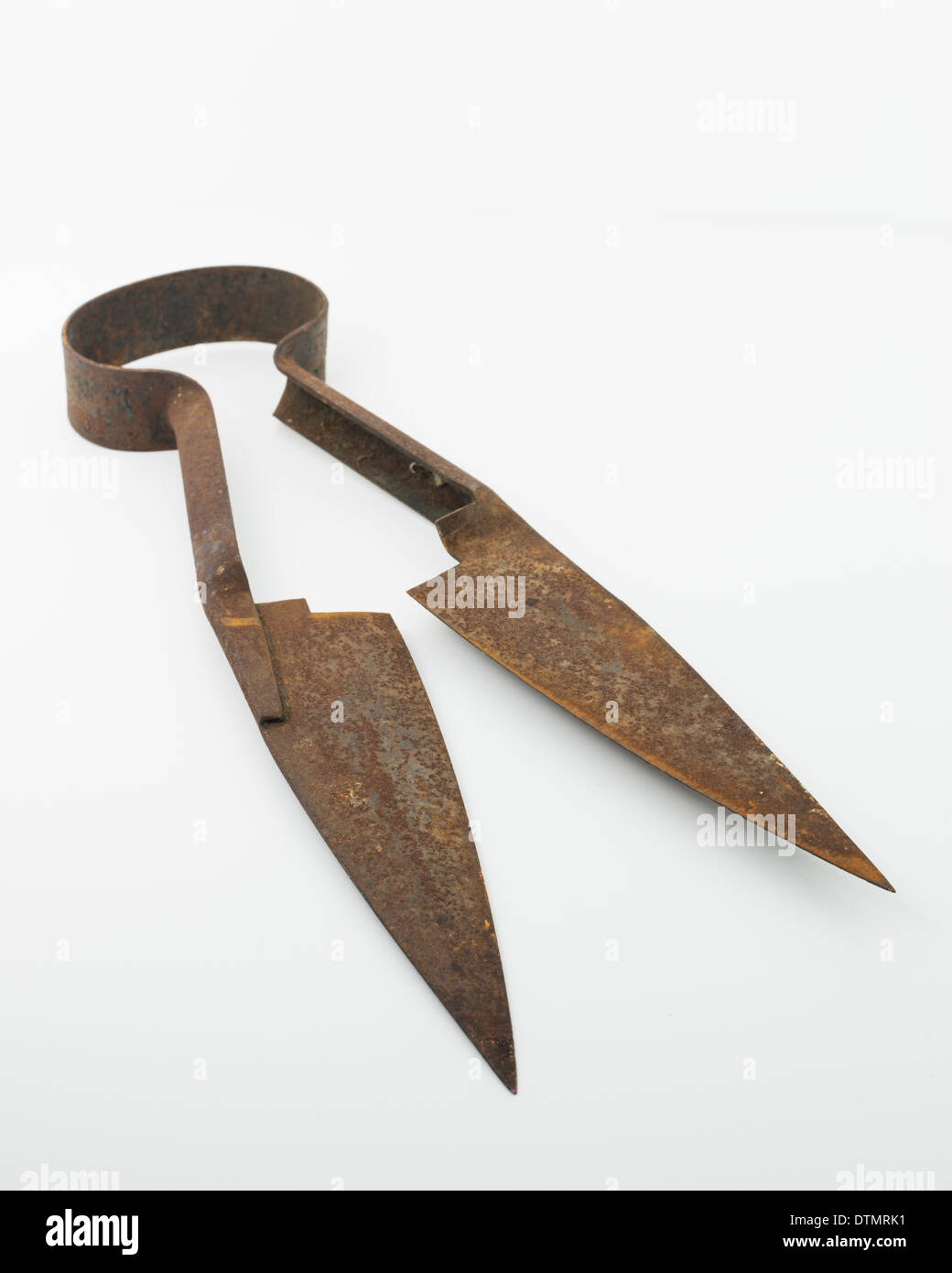 Old rusty sheep shears Stock Photo 66840453 Alamy