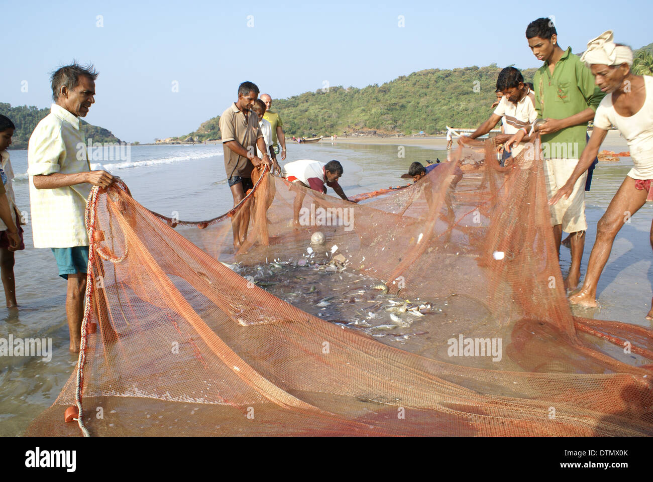 Indian fishermen gather fish on a fishing net after haul Stock