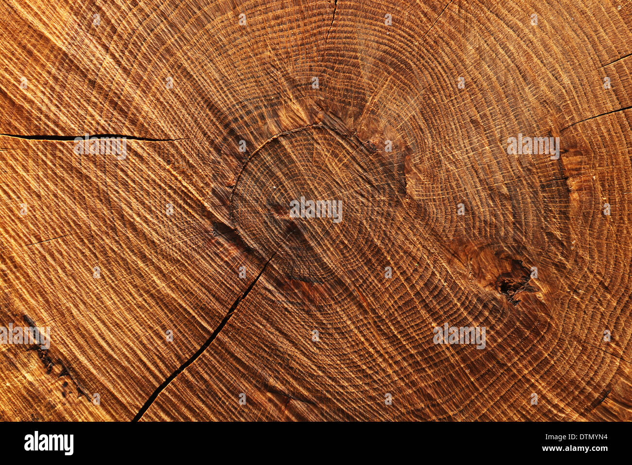 Wooden background Stock Photo