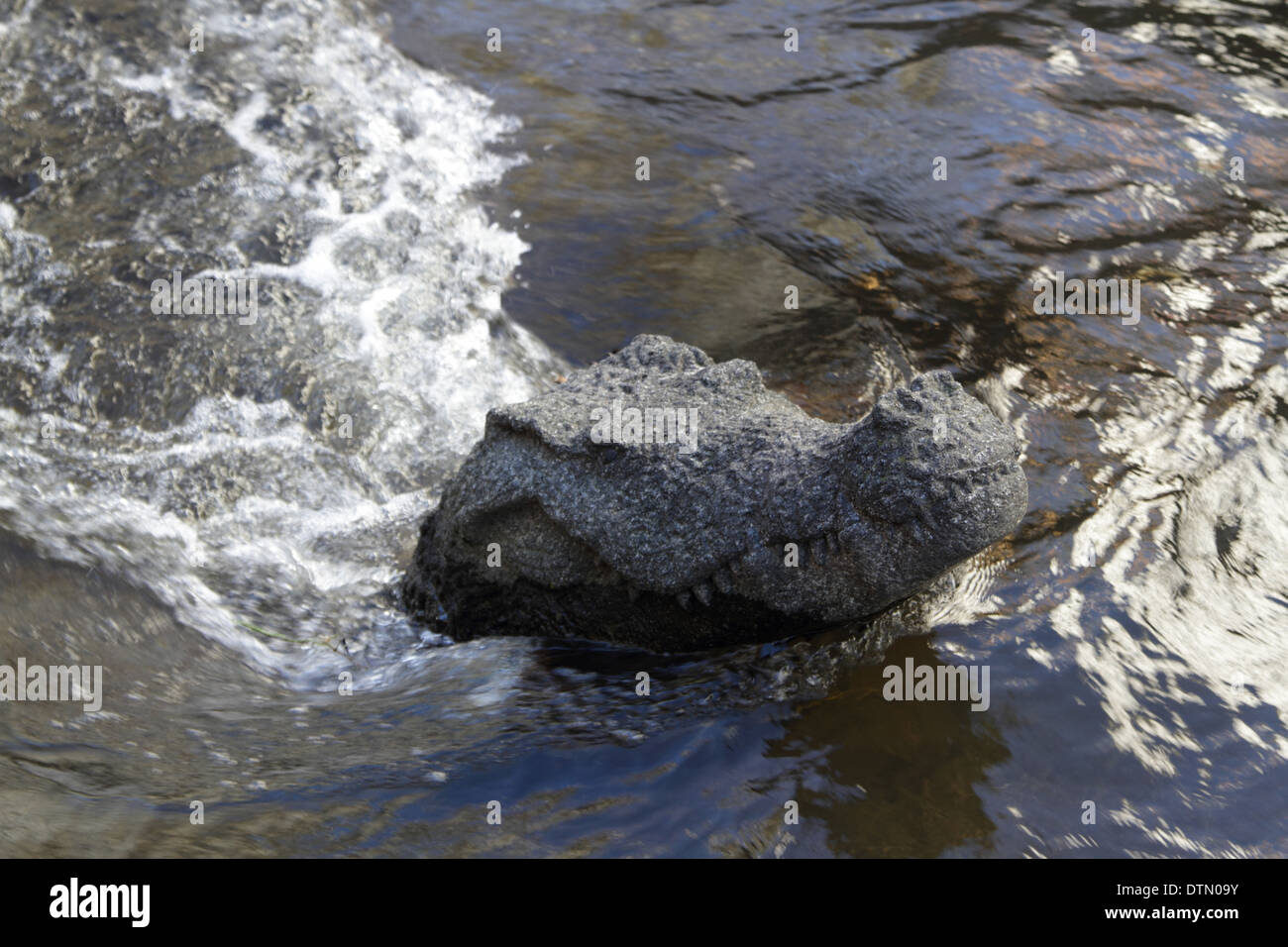 sculpture crocodile river Freiburg Stock Photo