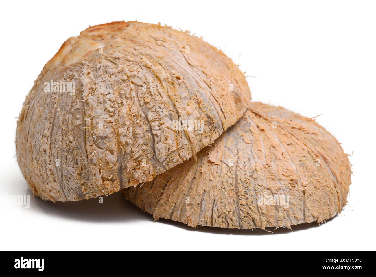 Coconut Shell Stock Photo