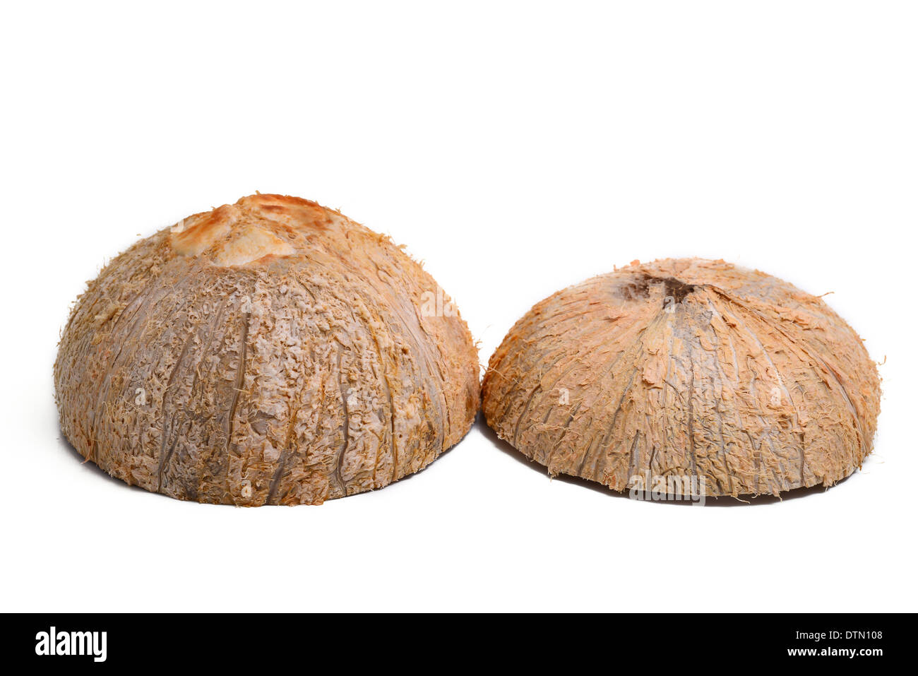 Coconut Shell Stock Photo