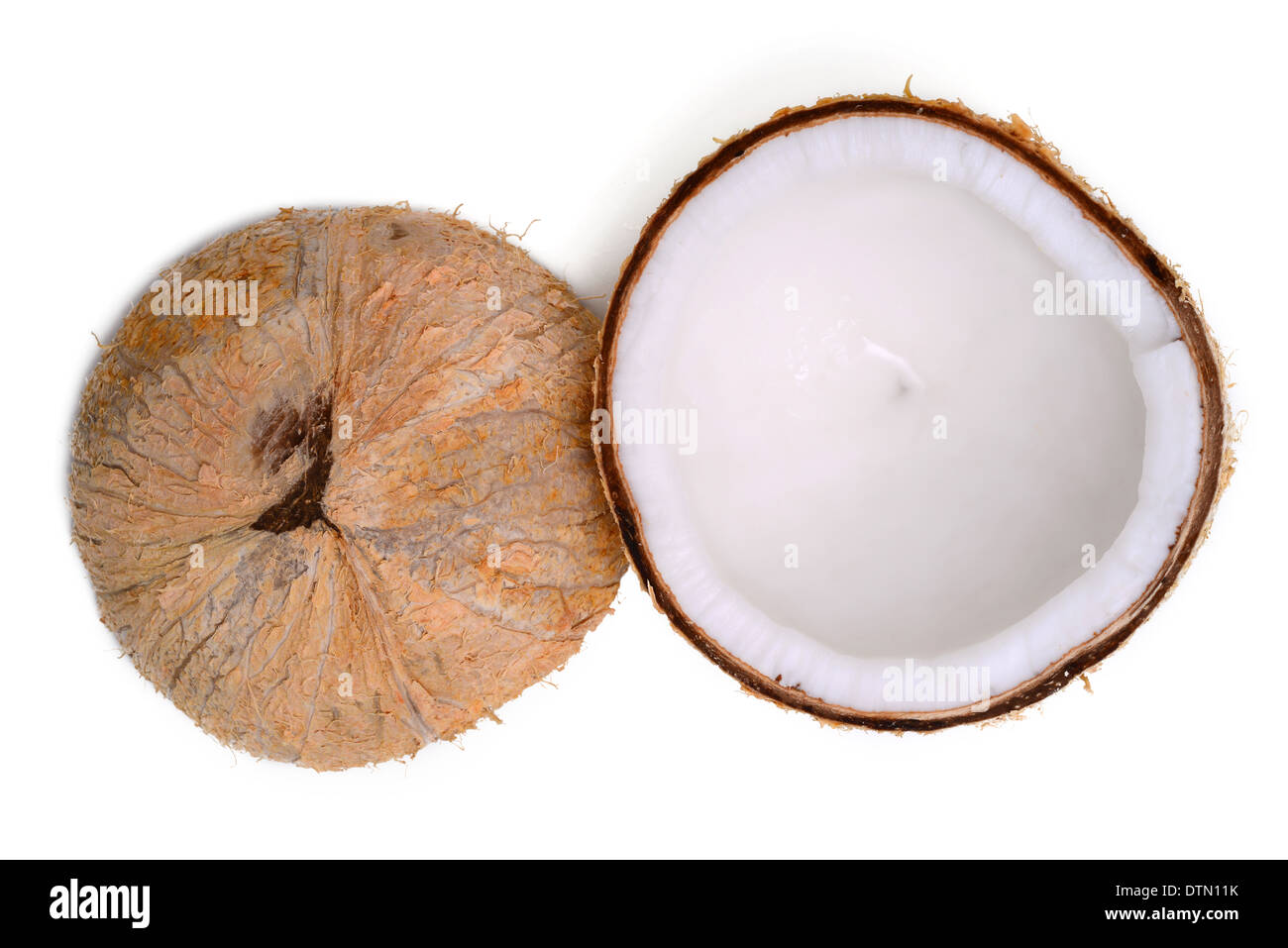 Coconut isolated on white Stock Photo