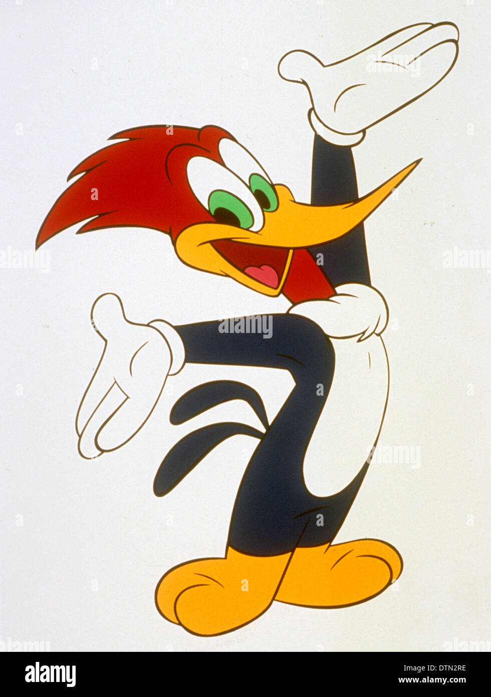 WOODY WOODPECKER  Cartoon character produced by Walter Lanz and distributed by Universal Studios and now by the Fox Kids channel Stock Photo