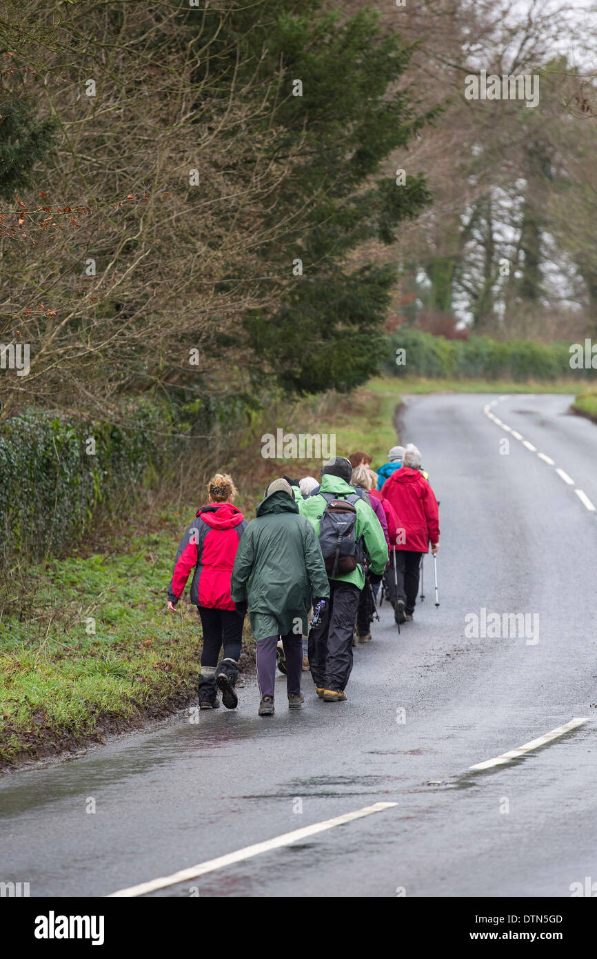 UK, Gloucestershire : A group of ramblers walk along the side of the road through country near woodlands in Gloucestershire. Stock Photo