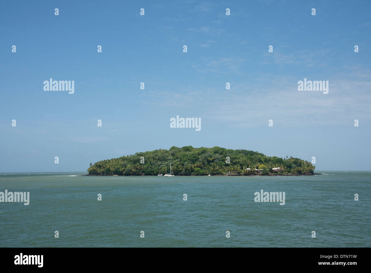 French Guiana, Salvation Islands, Ile SaintJoseph Stock Photo Alamy