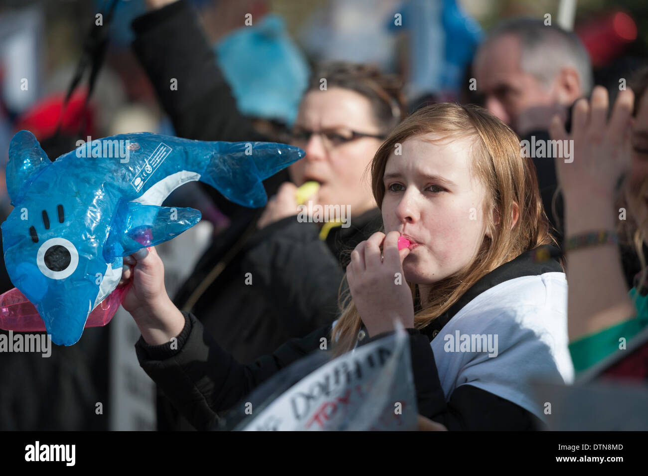 Piccadilly, London, UK. 21st Feb 2014.  Protesters stage a demonstration outside the Embassy of Japan in London, against the slaughter and capture of dolphins and small whales in Japan. The dolphin drive hunt in Taiji, takes place every year from September to April. Credit:  Lee Thomas/Alamy Live News Stock Photo