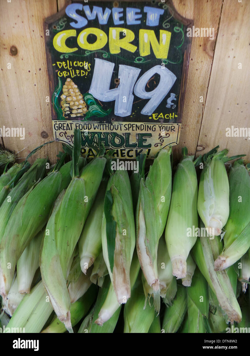 Sweet corn on sale Stock Photo