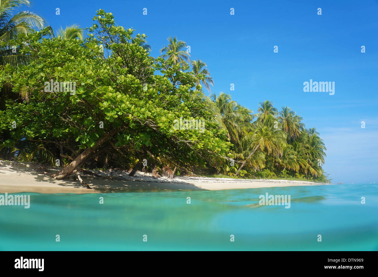 Tropical sandy beach with beautiful vegetation, view from the water surface, Caribbean sea, Costa Rica Stock Photo