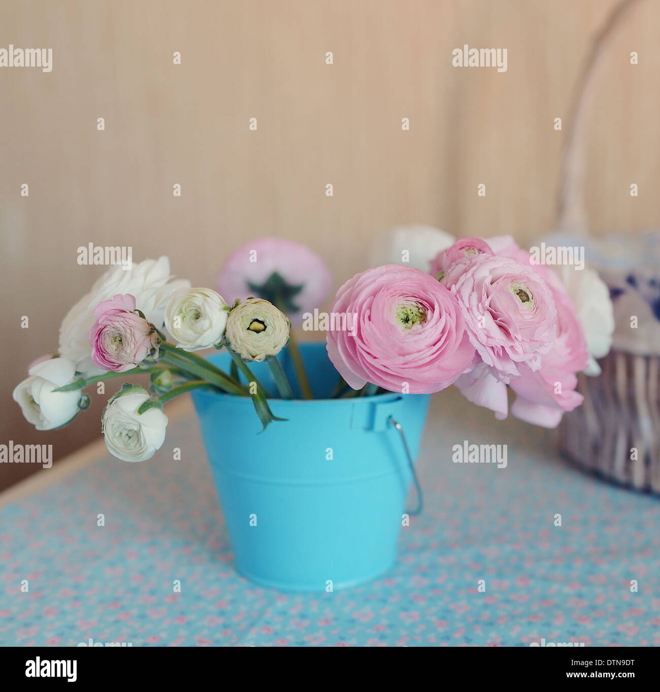 White flowers and bucket hi-res stock photography and images - Alamy