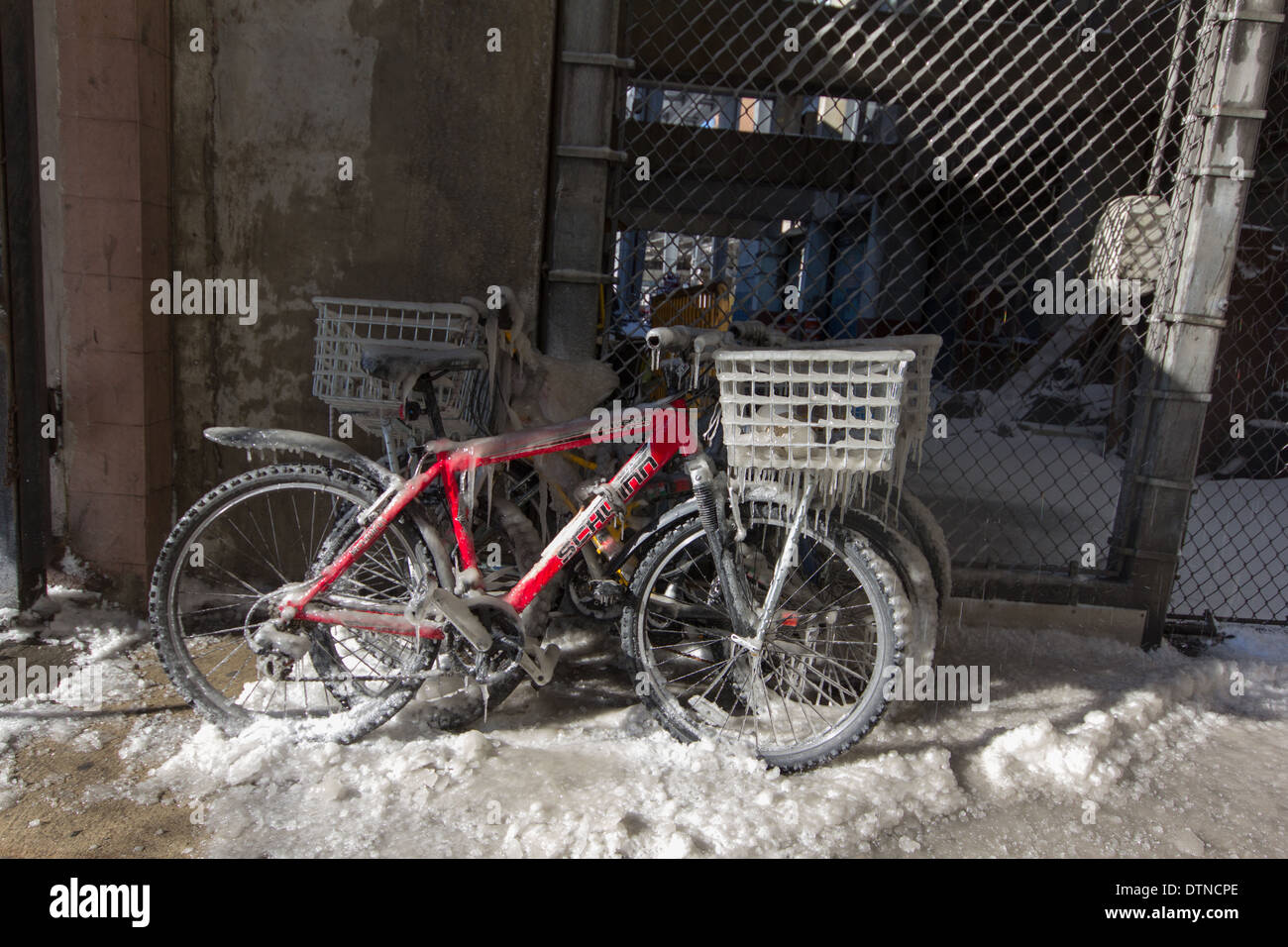 Iced Bicycles - Stock Image