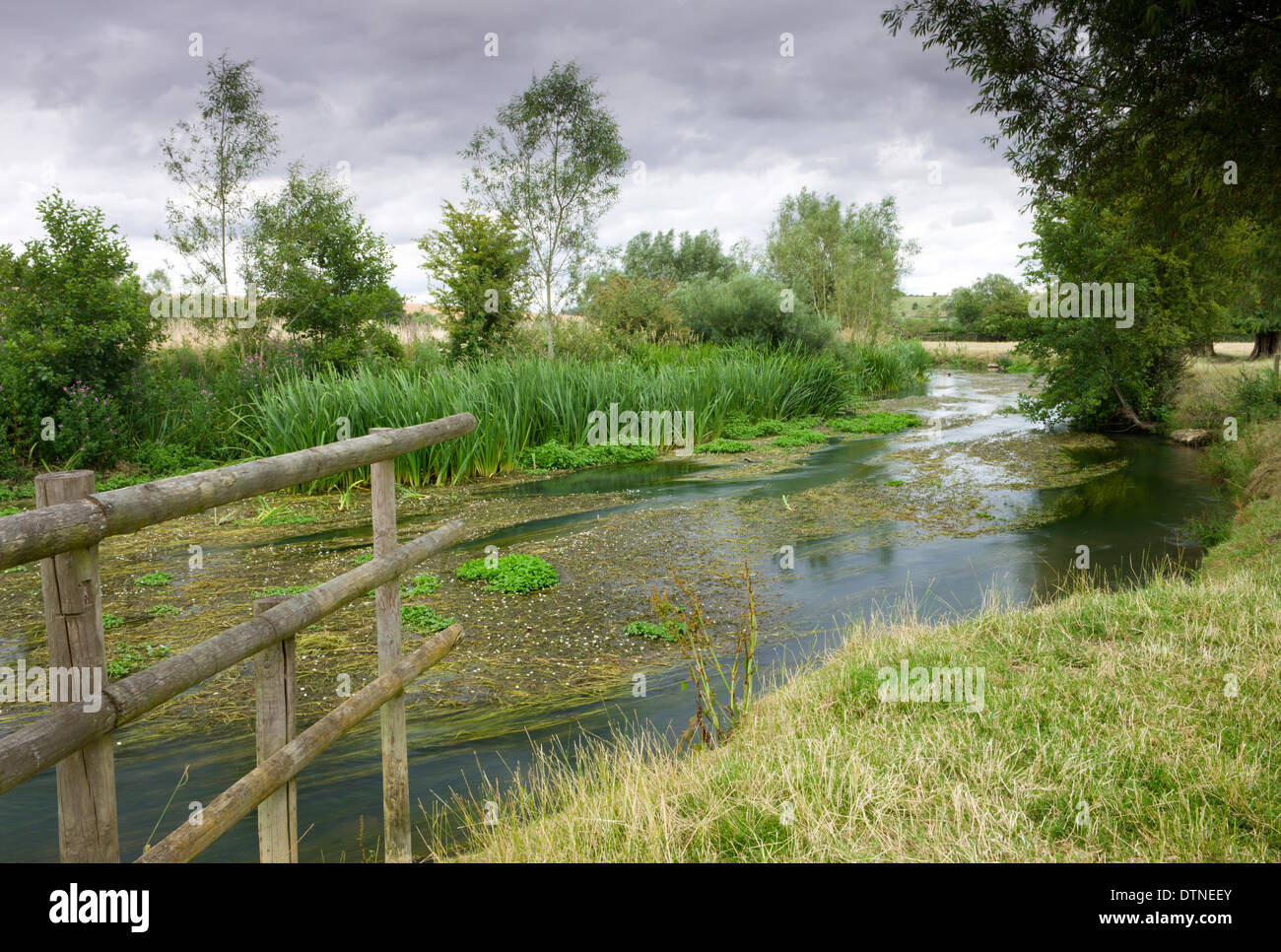 The River Windrush meandering through countryside near Burford in the Cotswolds, Oxfordshire, England. Summer (July) 2010. Stock Photo