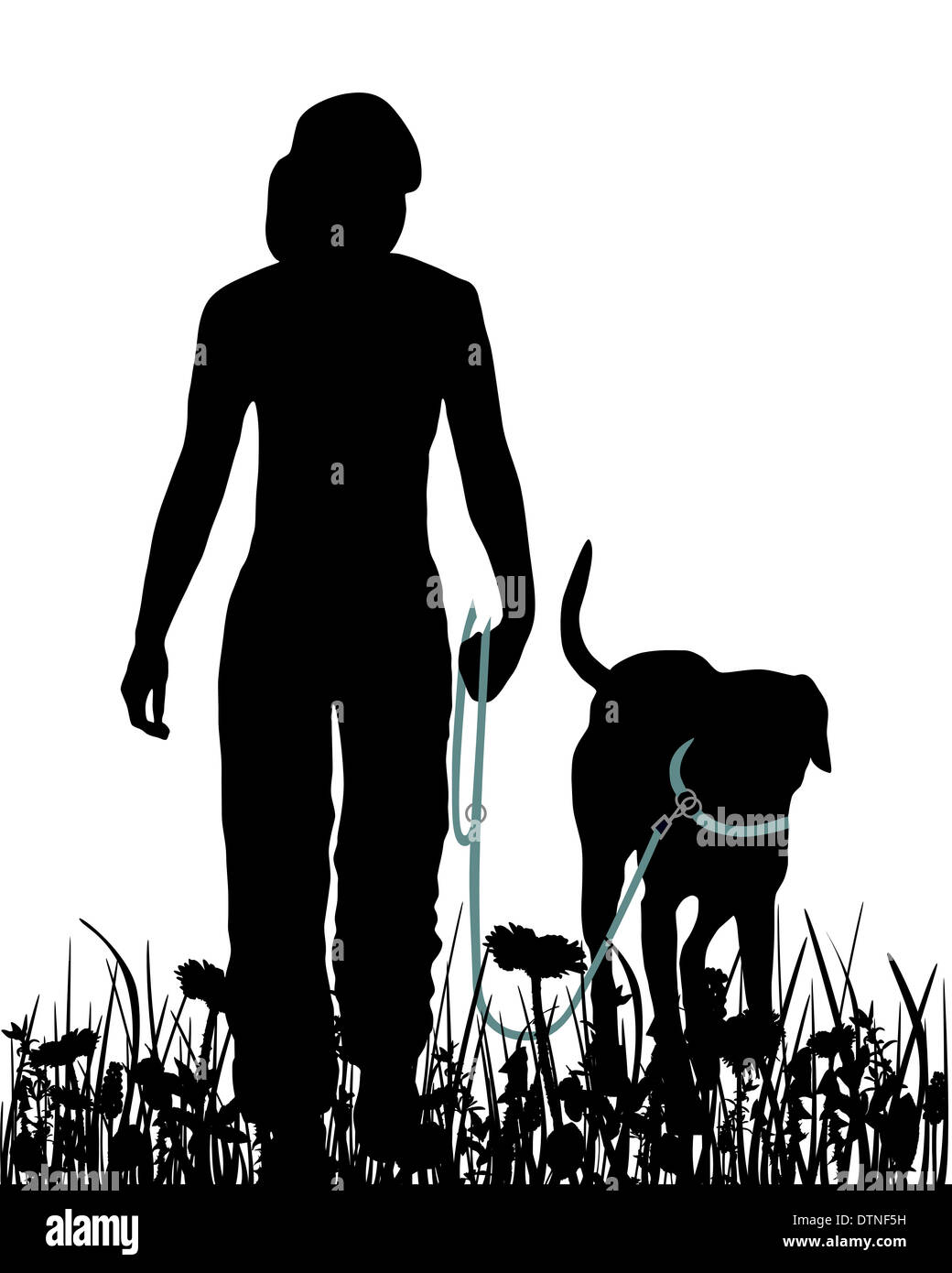 Walking with dog in the meadow Stock Photo - Alamy