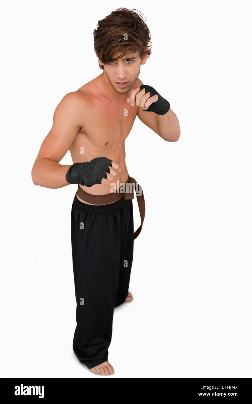 Martial arts fighter in fighting stance Stock Photo Alamy