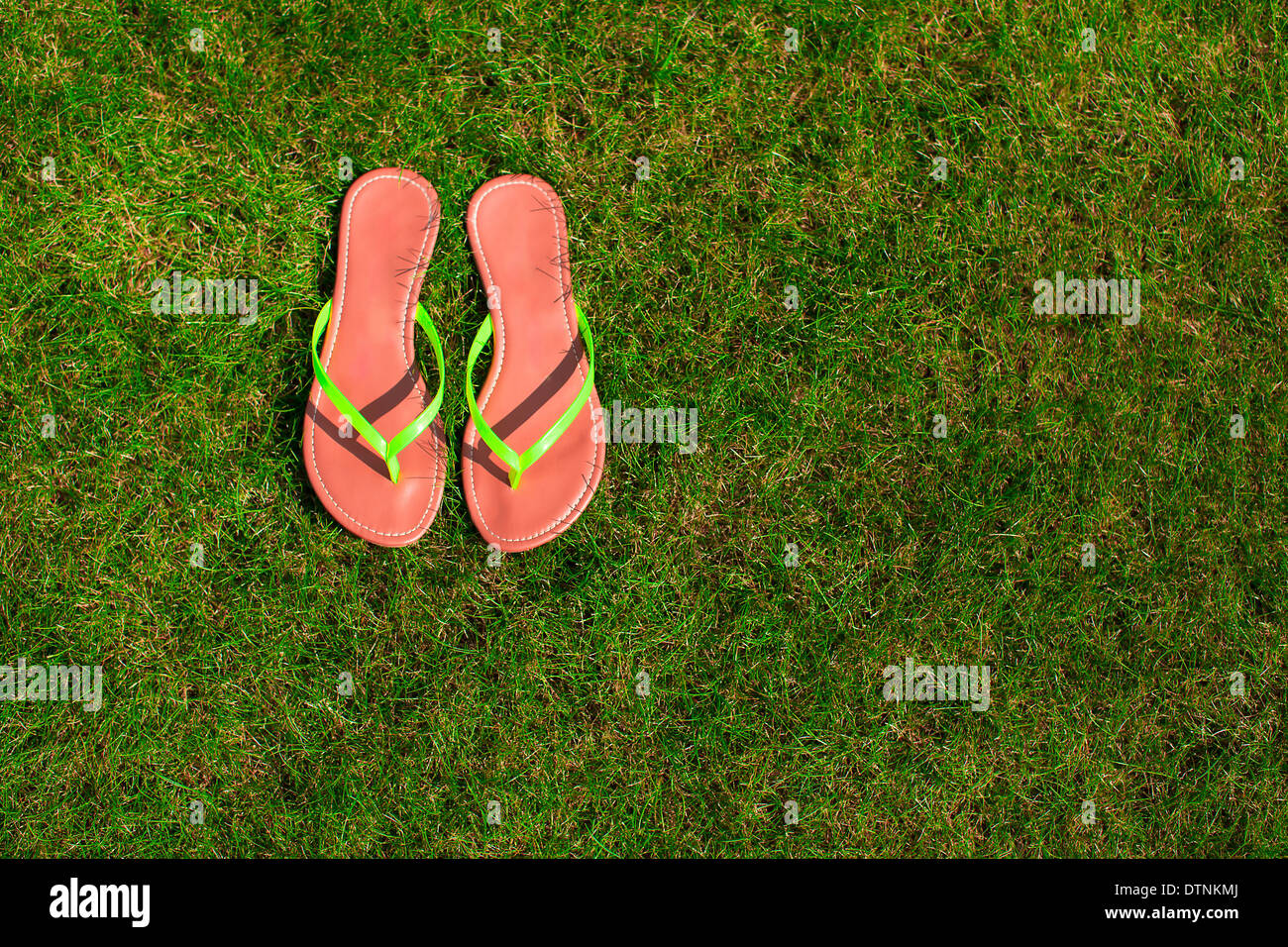 Closeup of bright flip flops on green grass Stock Photo - Alamy