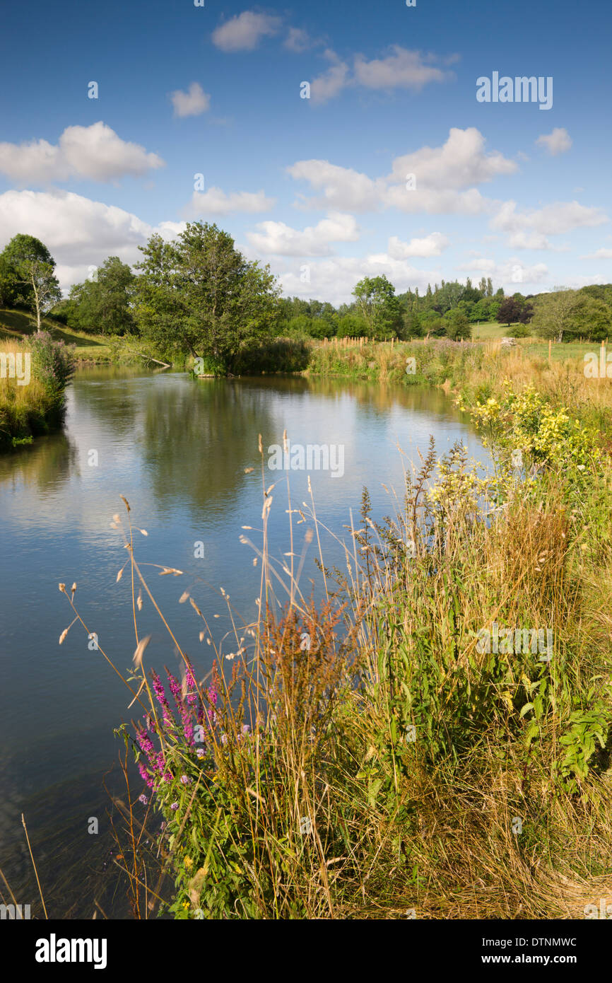 The River Windrush meanders through countryside between Burford and Swinbrook in the Cotswolds, Oxfordshire, England. Stock Photo