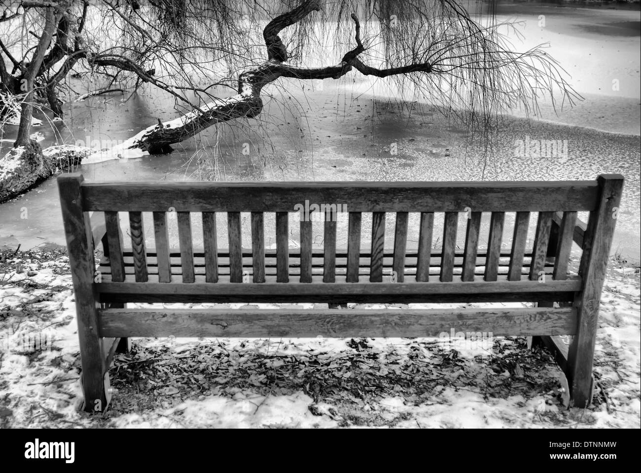 Bench in the Park Stock Photo