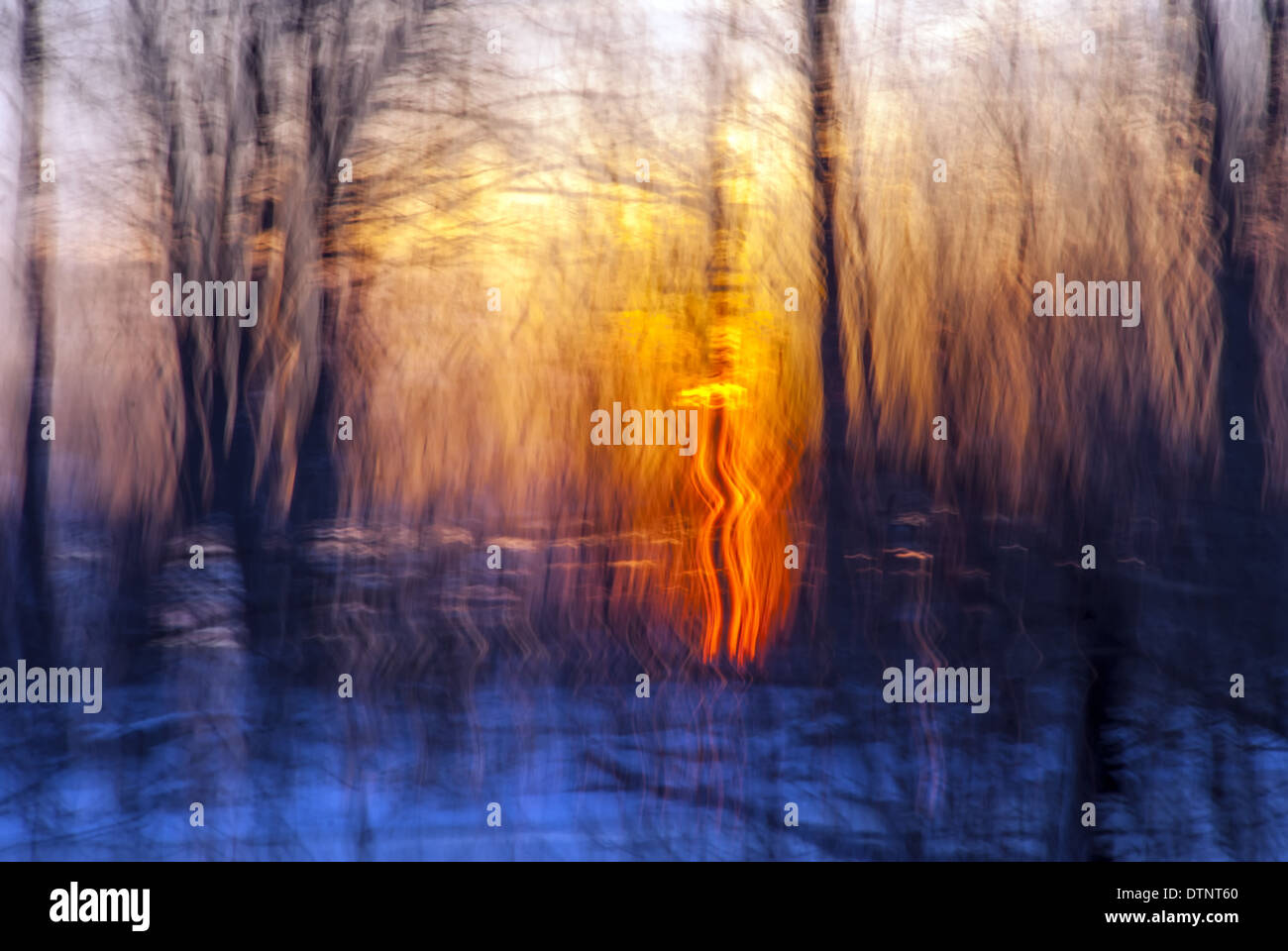 Natur magical hi-res stock photography and images - Alamy