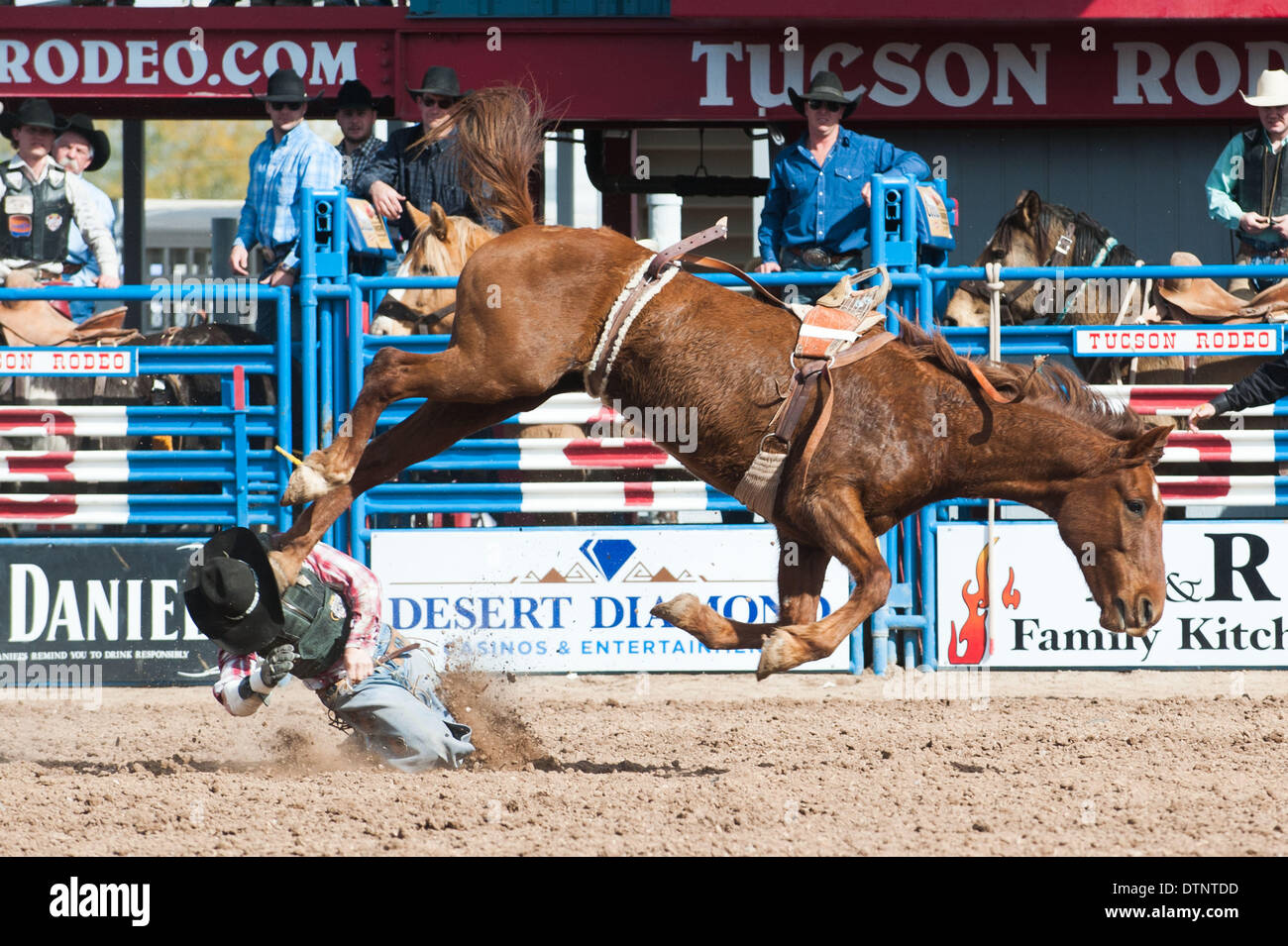Tucson, Arizona, USA. 21st Feb, 2014. Bareback rider JARED GREEN gets kicked in the head after being thrown from his horse during the fourth performance of the Fiesta de los Vaqueros in Tucson, Ariz. Green was able to walk out of the arena on his own. Credit:  Will Seberger/ZUMAPRESS.com/Alamy Live News Stock Photo