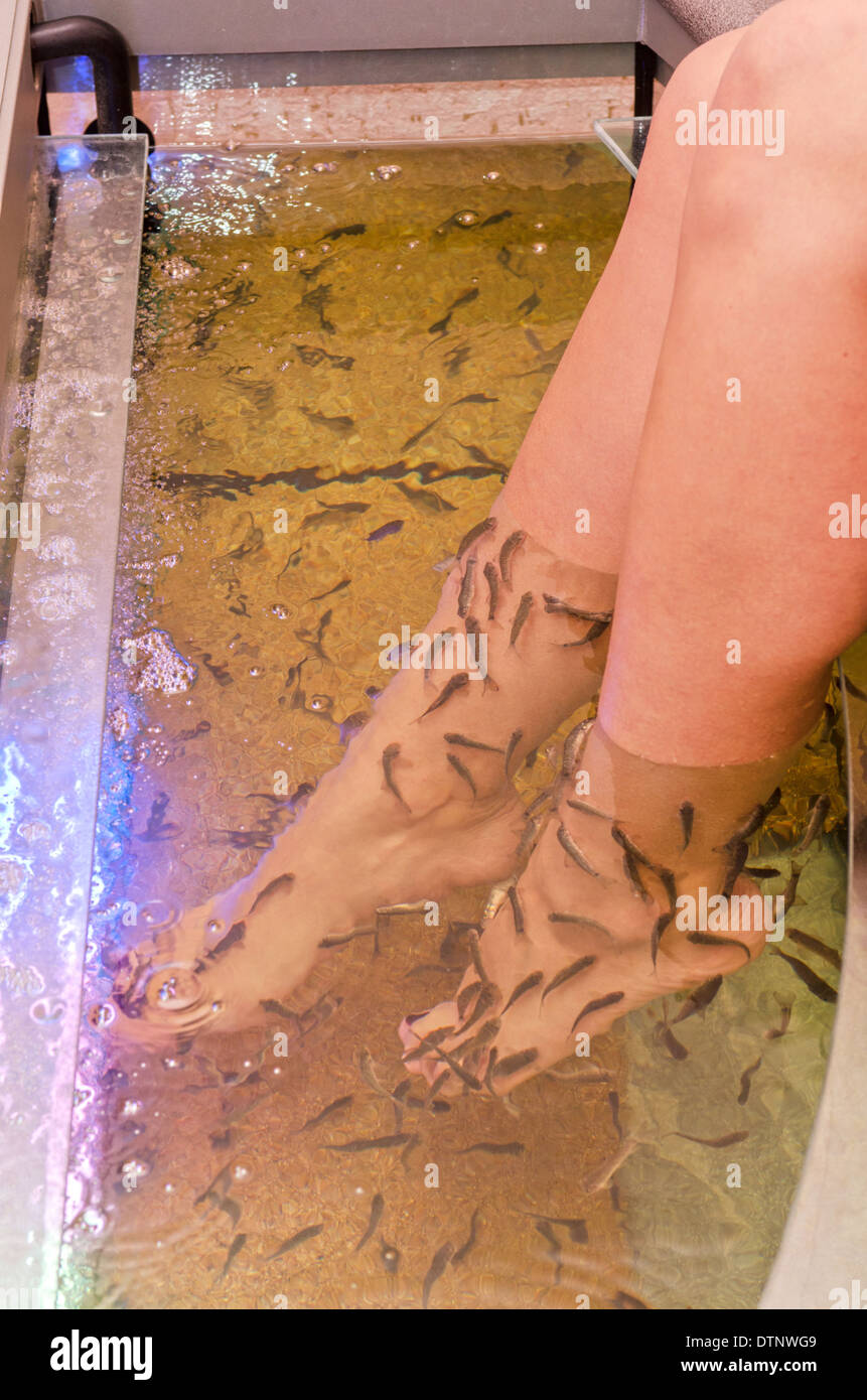 Fish spa pedicure Stock Photo Alamy