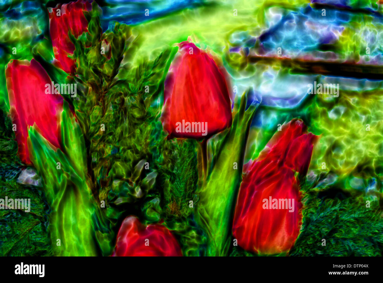 Abstract Tulips Stock Photo