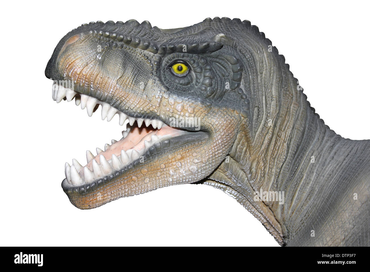 Dinosaur Head Stock Photo: 66868571 - Alamy