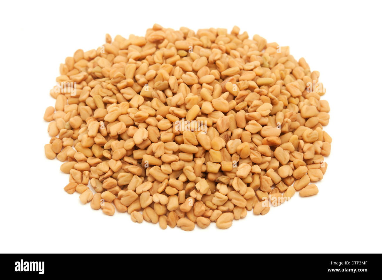Dried fenugreek seeds on a white background Stock Photo