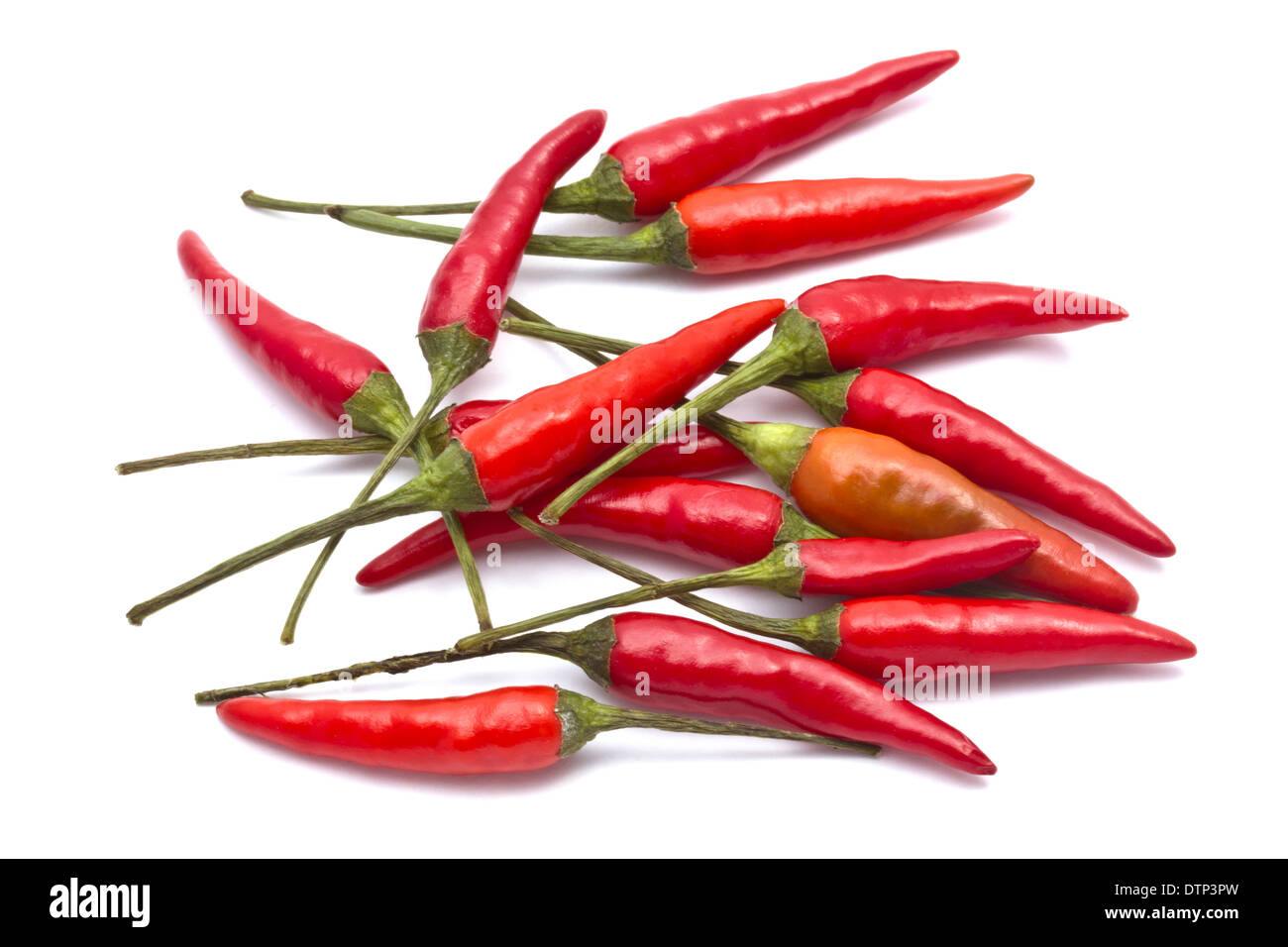 Red Chilli Stock Photo
