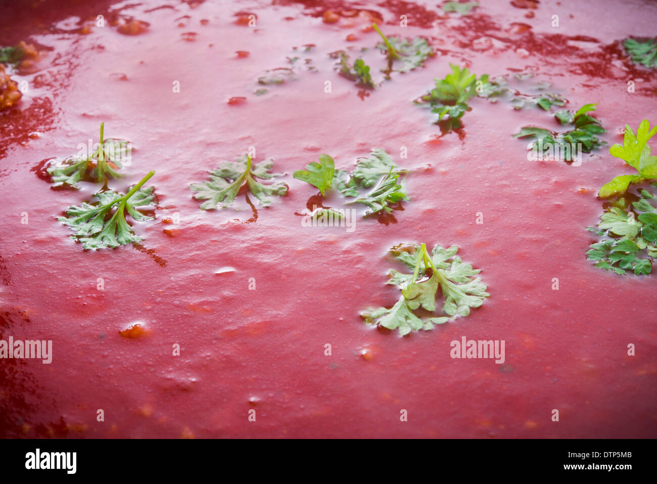 Chinese Tomato Soup Stock Photo Alamy chinese-tomato-soup-stock-photo-alamy