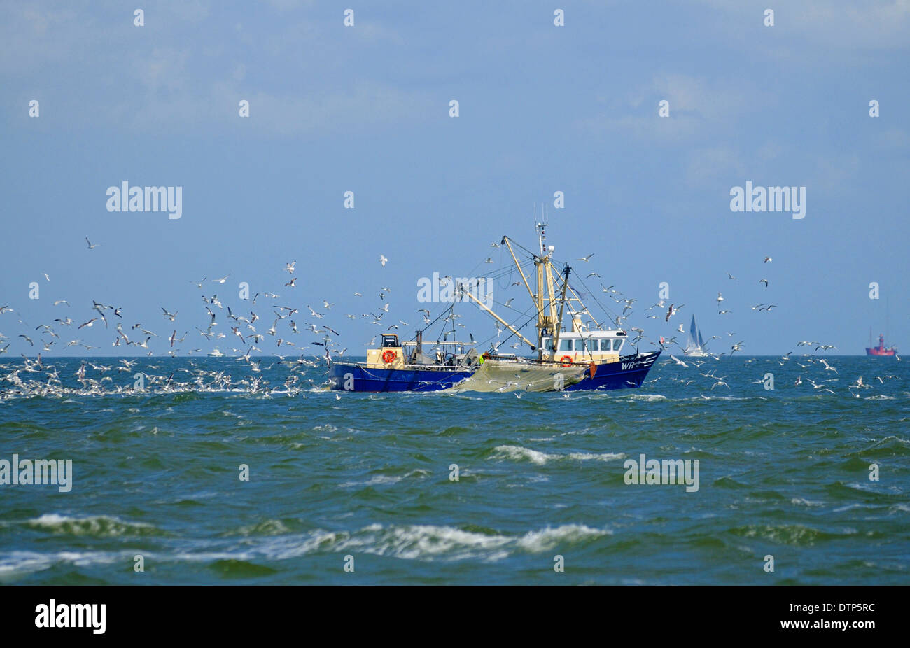 Shrimp boat in Wadden Sea, Oudeschild, Texel Island, Netherlands Stock Photo