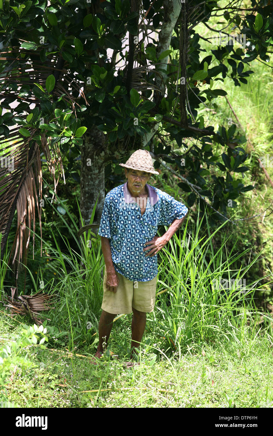 Old man of the jungle hi-res stock photography and images - Alamy