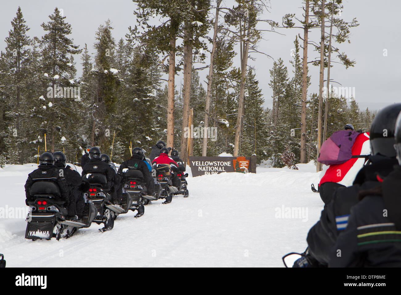 Snowmobile Tour through the Yellowstone National Stock Photo Alamy