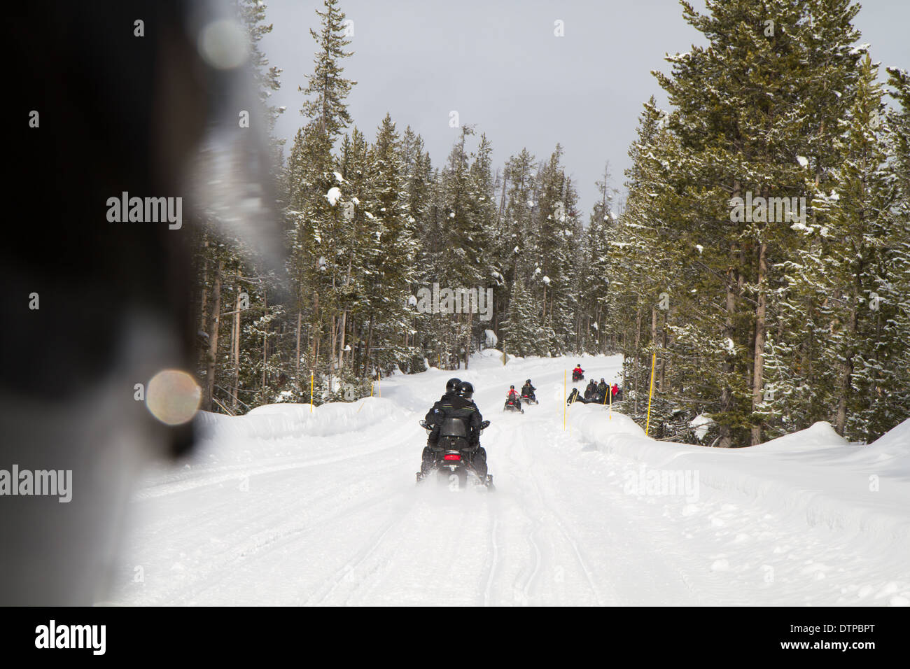 Snowmobile Tour through the Yellowstone National Stock Photo Alamy