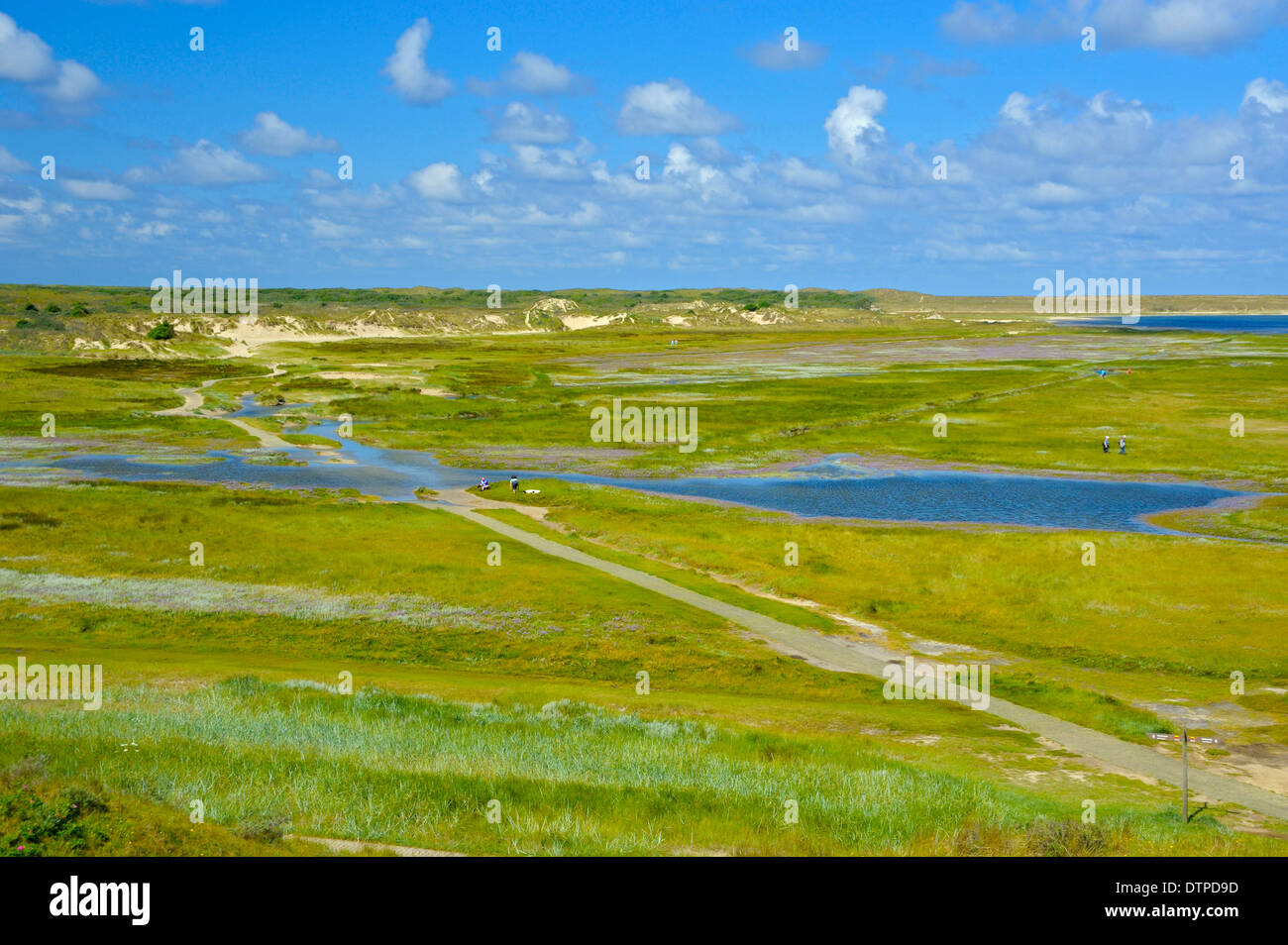 Nature reserve De Slufter, view from point of view, Island of Texel, Netherlands Stock Photo