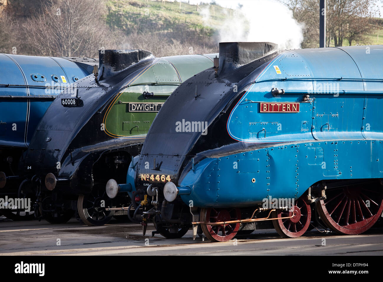 Mallard train hi-res stock photography and images - Alamy