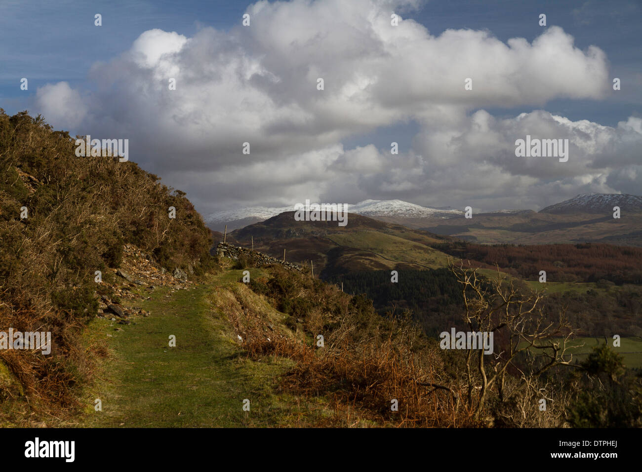 A view from the New Precipice Walk above the Mawddach Estuary, near Dolgellau, Gwynedd, Wales Stock Photo
