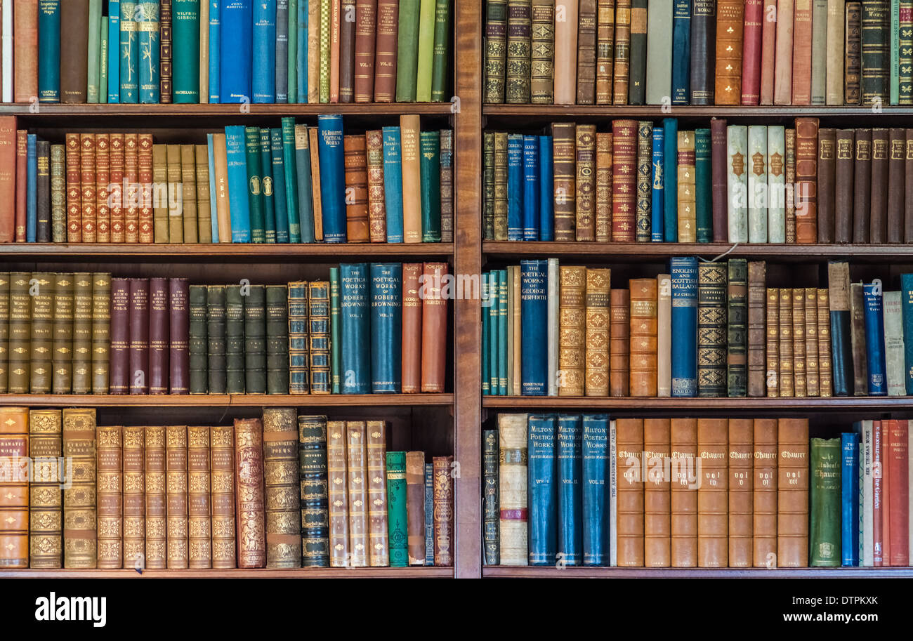Antique books on shelf stock photo. Image of literary - 22930240