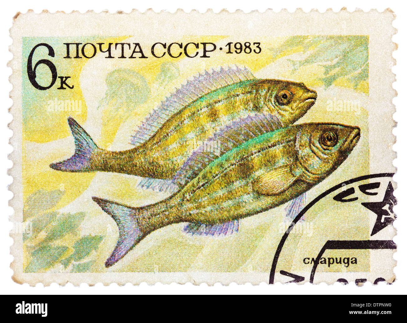 post stamp printed in USSR (CCCP, soviet union) shows Perciformes (Percomorphi, Acanthopteri) from food fish series Stock Photo