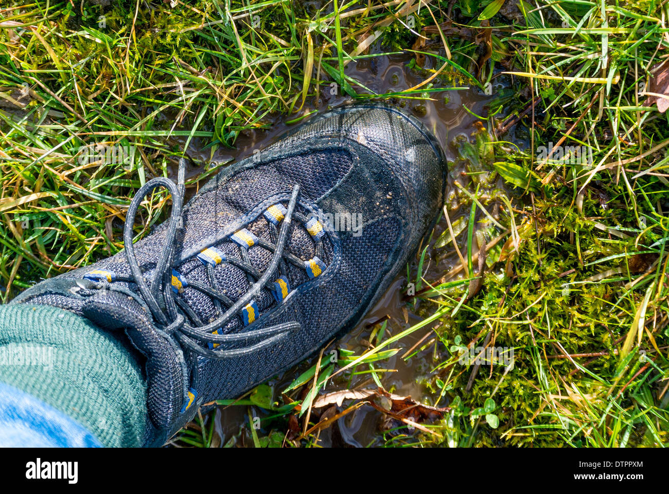 Boot on waterlogged ground with ground water collecting on grass. Stock Photo