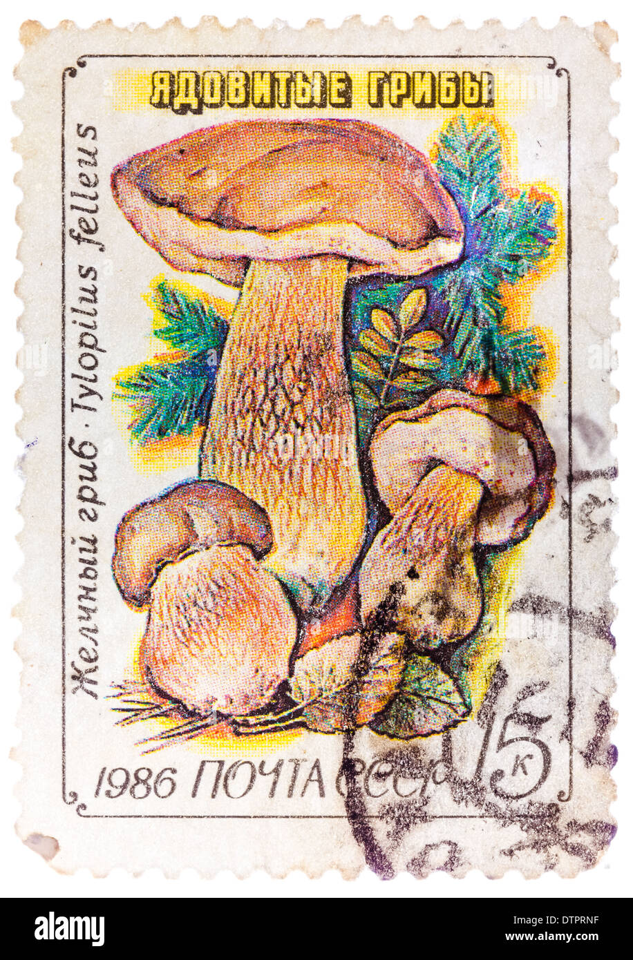 USSR - CIRCA 1986: A stamp printed in USSR, Tylopilus felleus, formerly Boletus felleus mushroom in wild, circa 1986 Stock Photo
