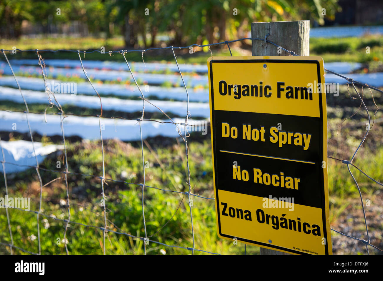 Organic farm near Miami which employs formerly homeless persons. Stock Photo