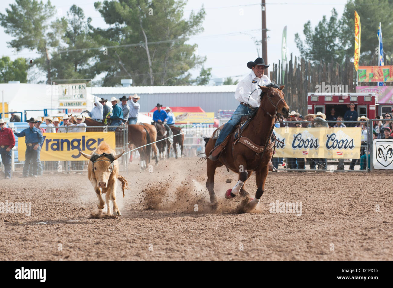 Tucson, Arizona, USA. 22nd Feb, 2014. LEE KIEHNE ropes his steer during the team roping event at the Fiesta de los Vaqueros in Tucson, Ariz. Credit:  Will Seberger/ZUMAPRESS.com/Alamy Live News Stock Photo